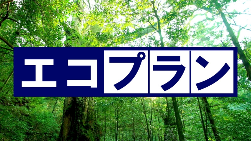 【Ecoプラン/朝食付】アメニティなしでリーズナブルなご宿泊！風情ある日本庭園を眺めながら朝ごはん