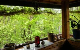 Ingle Nook window