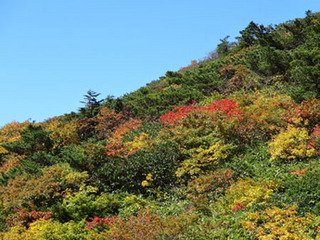 地蔵岳の紅葉