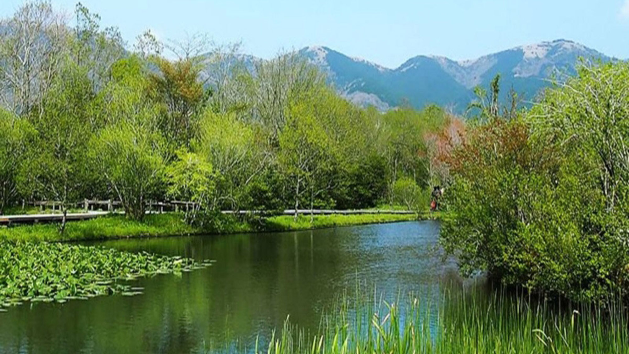 箱根湿生花園