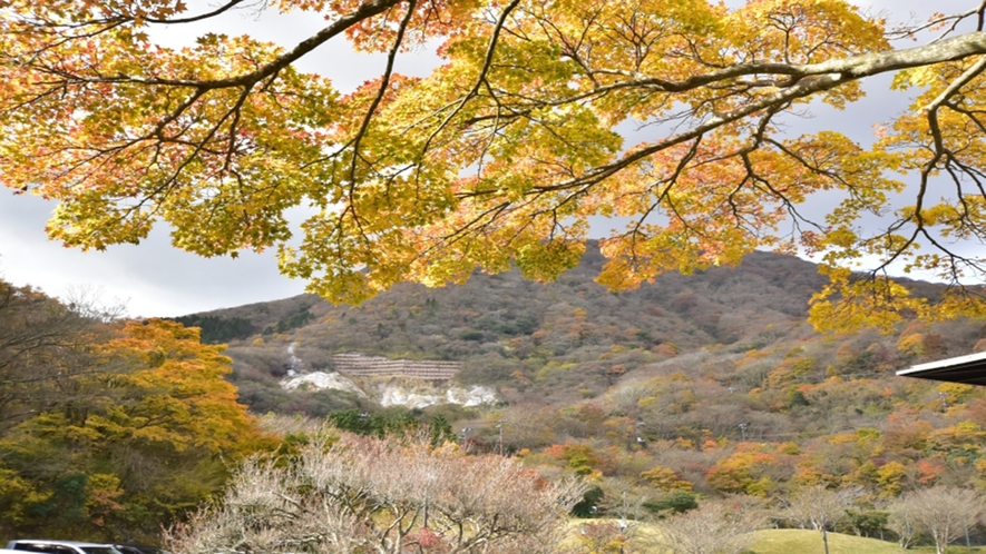 【秋】紅葉する駒ヶ岳