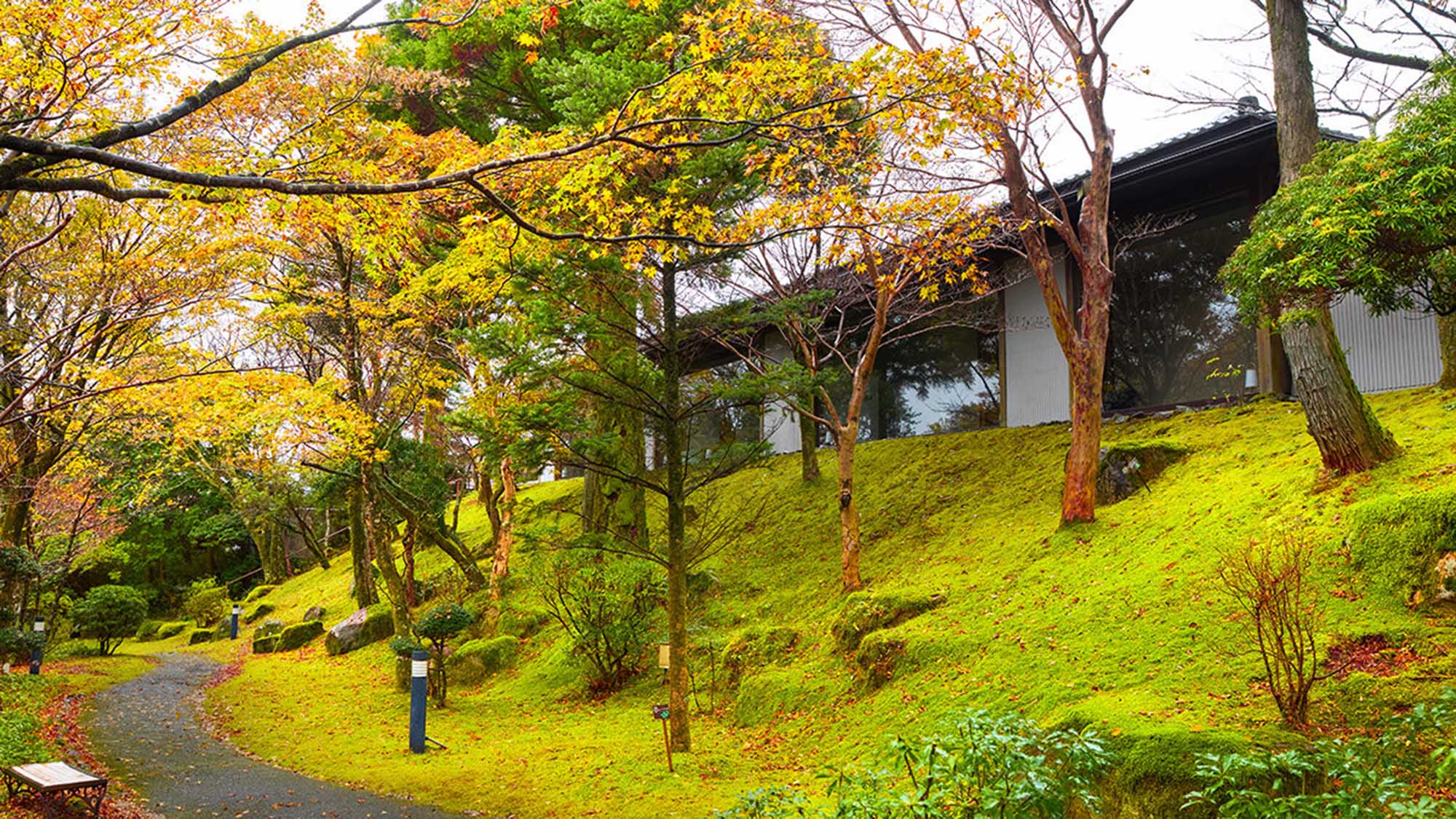 【秋】中庭の紅葉 