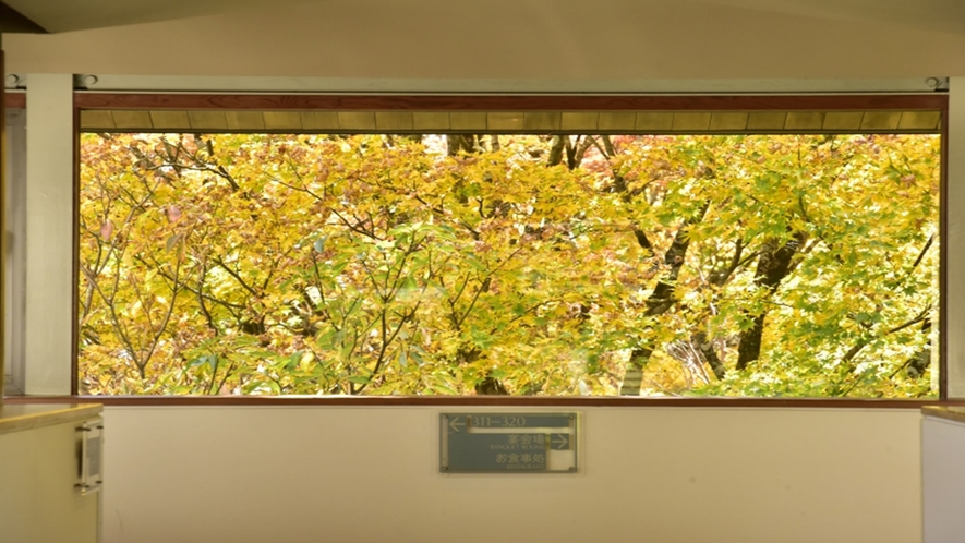 【秋】館内廊下より、まるで絵画のような窓