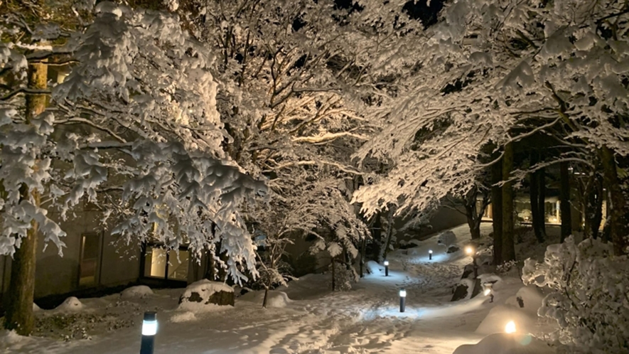 【冬】まるで樹氷のような景色