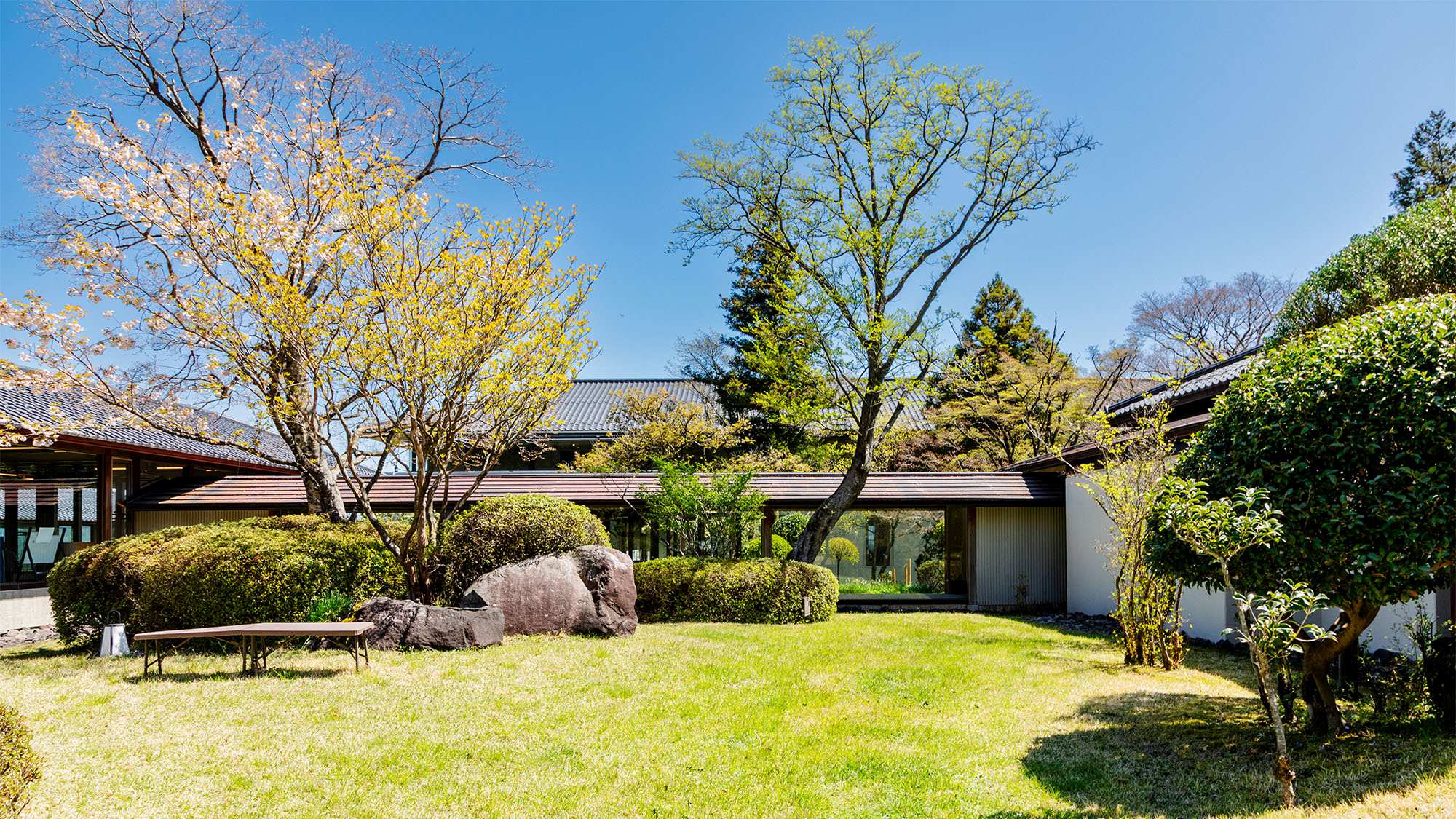 澄み渡る青空と緑あふれる中庭をお楽しみください。