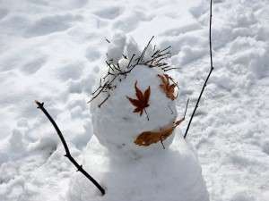 Manusia salju bermata besar