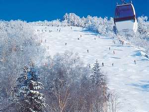 【年末年始】極上のにごり湯と栃木の味覚を楽しむ創作和会席