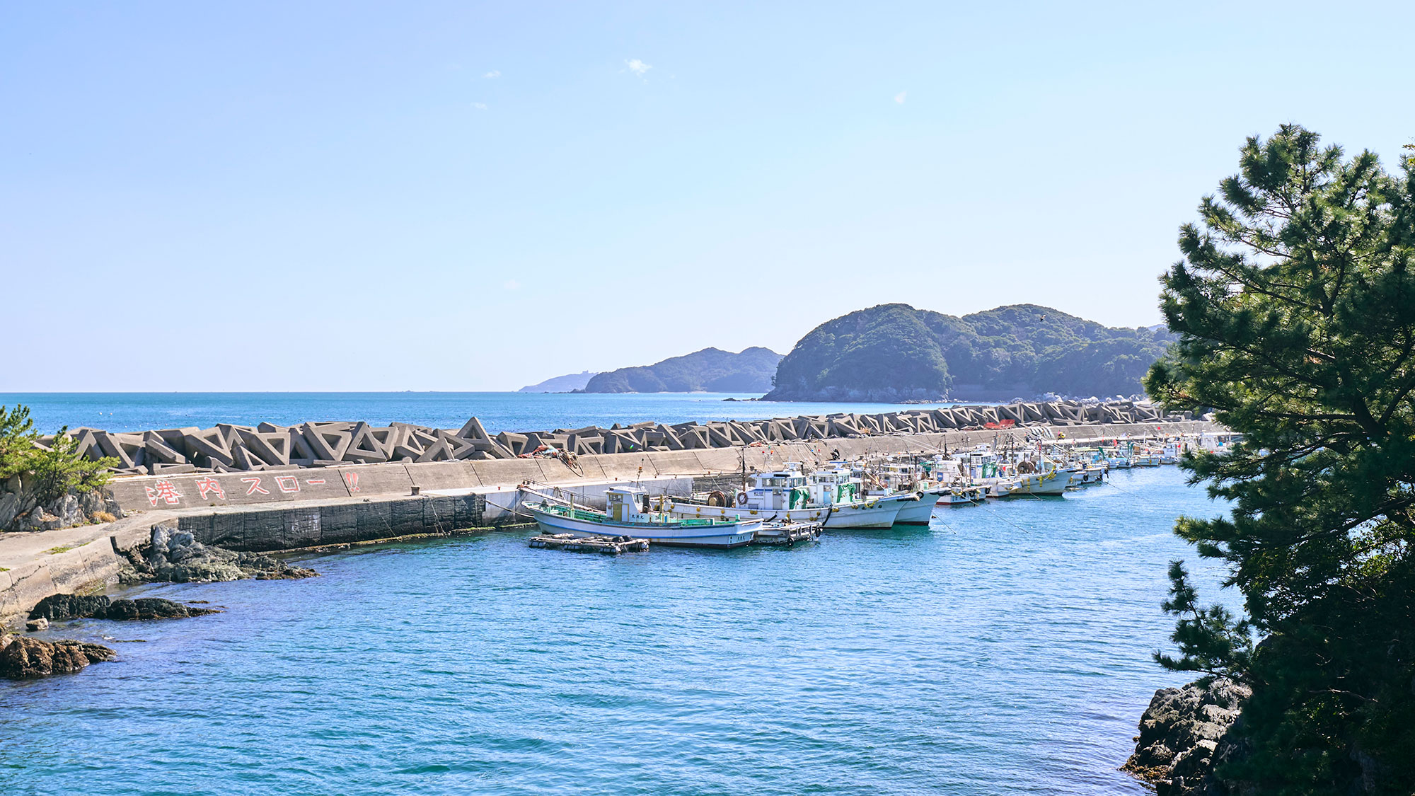 ・【周辺】伊勢湾に浮かぶ答志島　のんびりとした時間が流れています