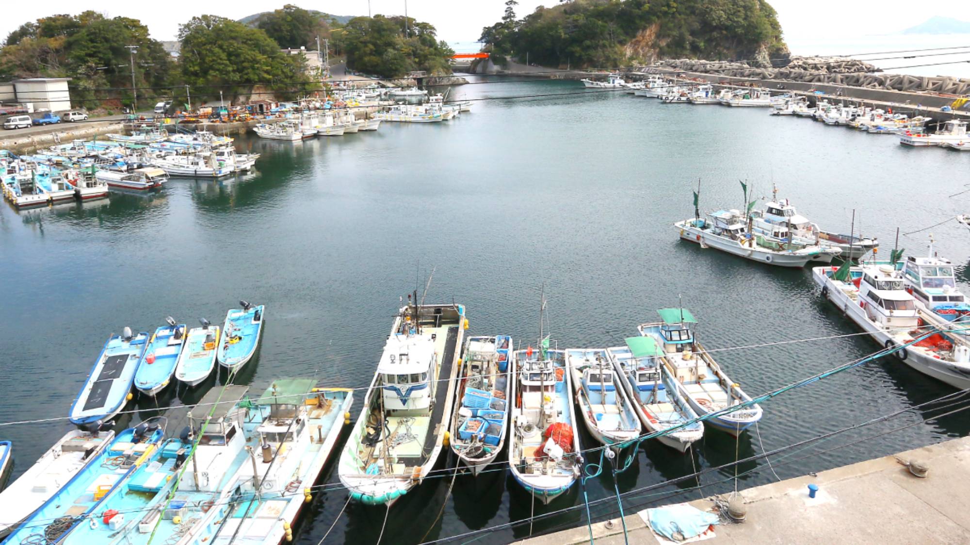 ・【当館からの景色】のどかな漁村風景が広がっています