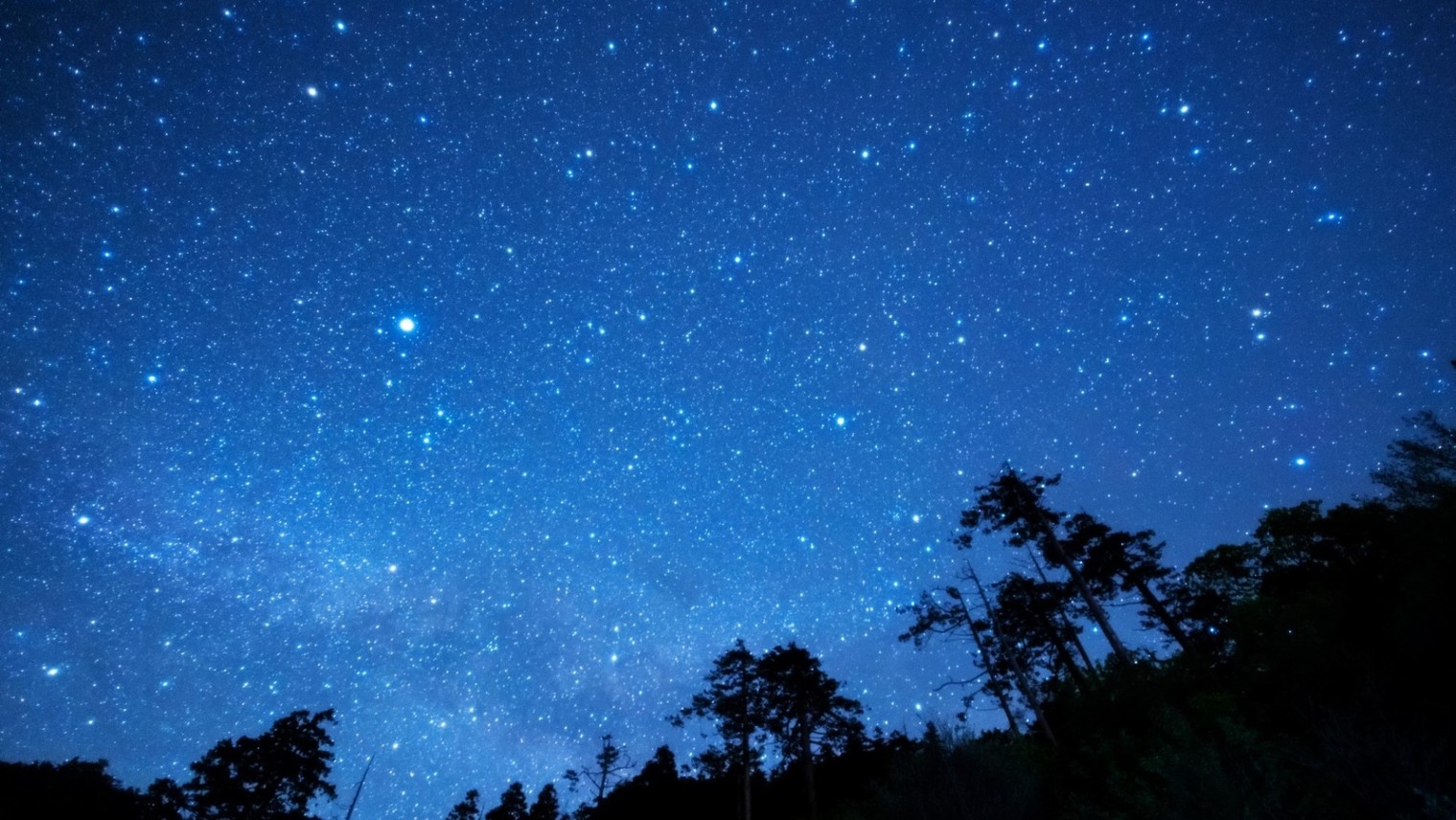 【早期予約がお得★早割30】冬季限定お得なプラン♪「お箸で食べる欧風コース料理」■2食付