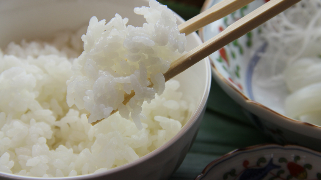 【夏の膳〜岩牡蠣〜】10，000円〜！◆《匠の膳〜takumi〜》×《生牡蠣》で越後の旬を食らう