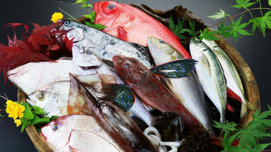 食材◆地元熱海で獲れた魚を使用しています