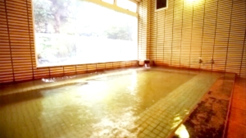 鵜の浜温泉 潮風薫る宿みはらし(写真 2)