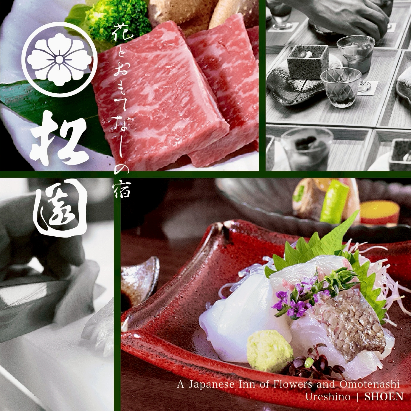 松園イメージ画面　