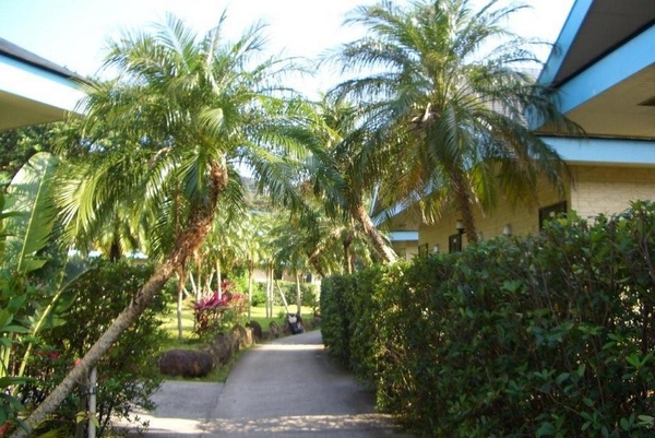 ホテルサンセットリゾート 徳之島 宿泊予約 楽天トラベル ホテルサンセットリゾート 徳之島 宿泊予約 楽天トラベル