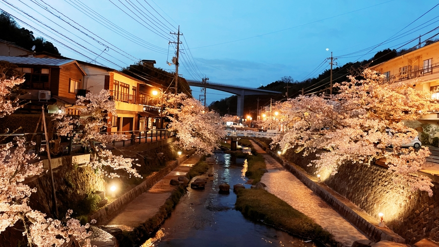 【夜桜ライトアップ】玉井別館から徒歩5分！幻想的な世界が広がります♪