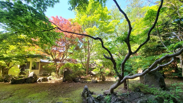 世界最長の「登り窯」で貴重な〜陶芸体験〜烏城焼・主宰がサポートしてくれる世界で1つの自分だけの器作り