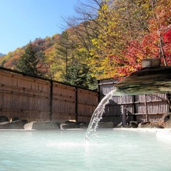 紅葉が青空に映える秋