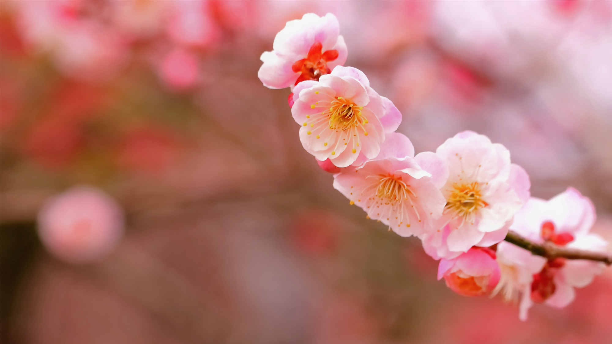 【年末年始プラン】お部屋食★７つの湯巡り★の〜んびり過ごす温泉の年末年始★海から昇る初日の出に感動！