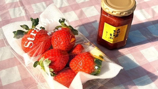 【1日10組限定・選べるいちご農園】いちご狩り割引チケット＆お土産付きプラン