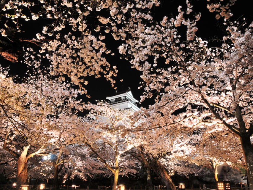 【3・4月限定】食事会場でお花見気分！春を楽しむ、お花見プレート付きの料理フェア！
