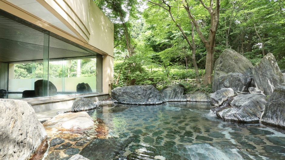 ＼新緑に囲まれる会津の旅　飲み放題付バイキングプラン／