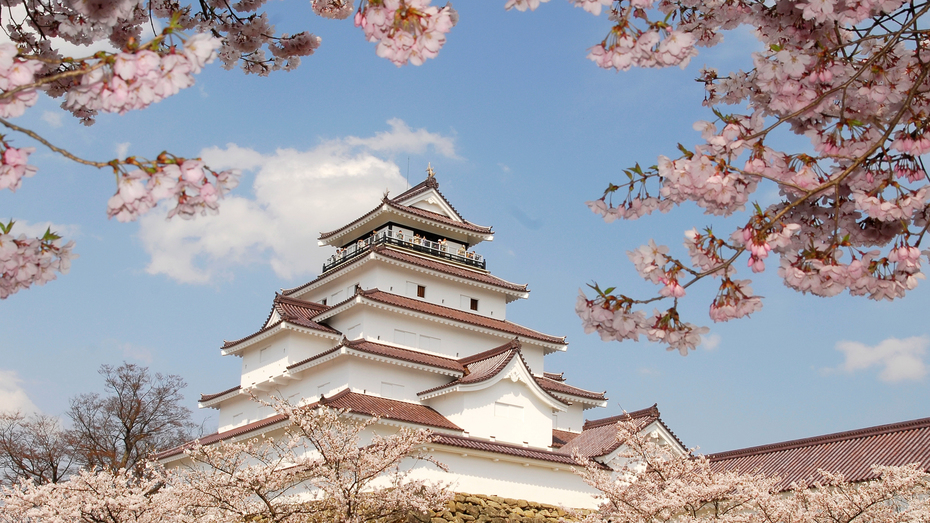 【3・4月限定】食事会場でお花見気分！春を楽しむ、お花見プレート付きの料理フェア！