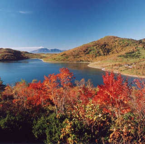 【観光・散策 秋】北欧の佇まいのある分水嶺に位置する湖。当館から車で1時間40分、紅葉は例年9月下旬
