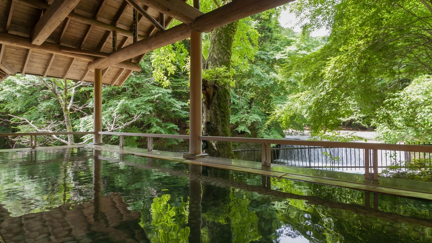 【滝見露天 森のこだま】四万たむらを代表するお風呂、四季折々の景色と美肌の湯を楽しめる。