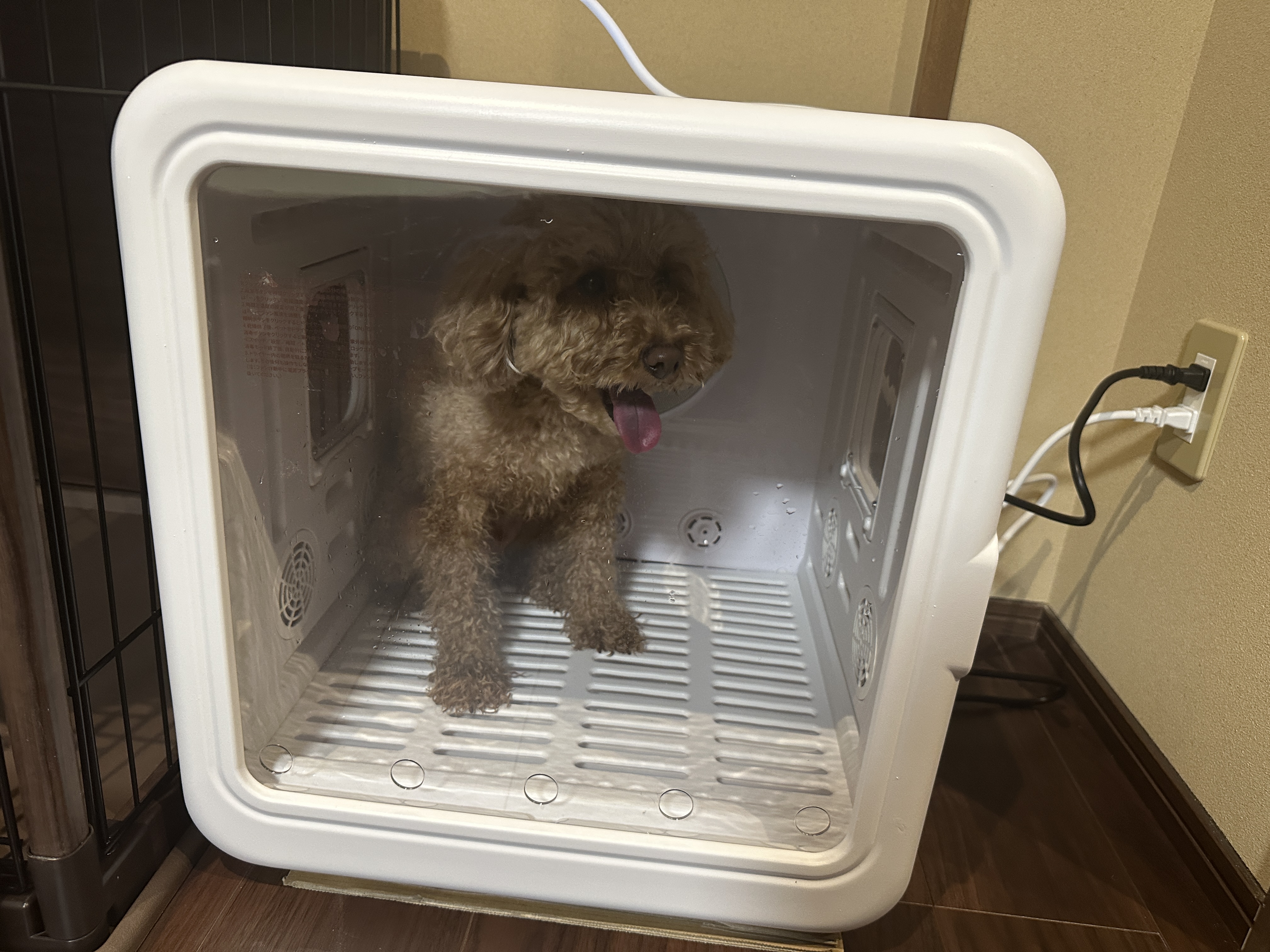 ドライヤーボックス