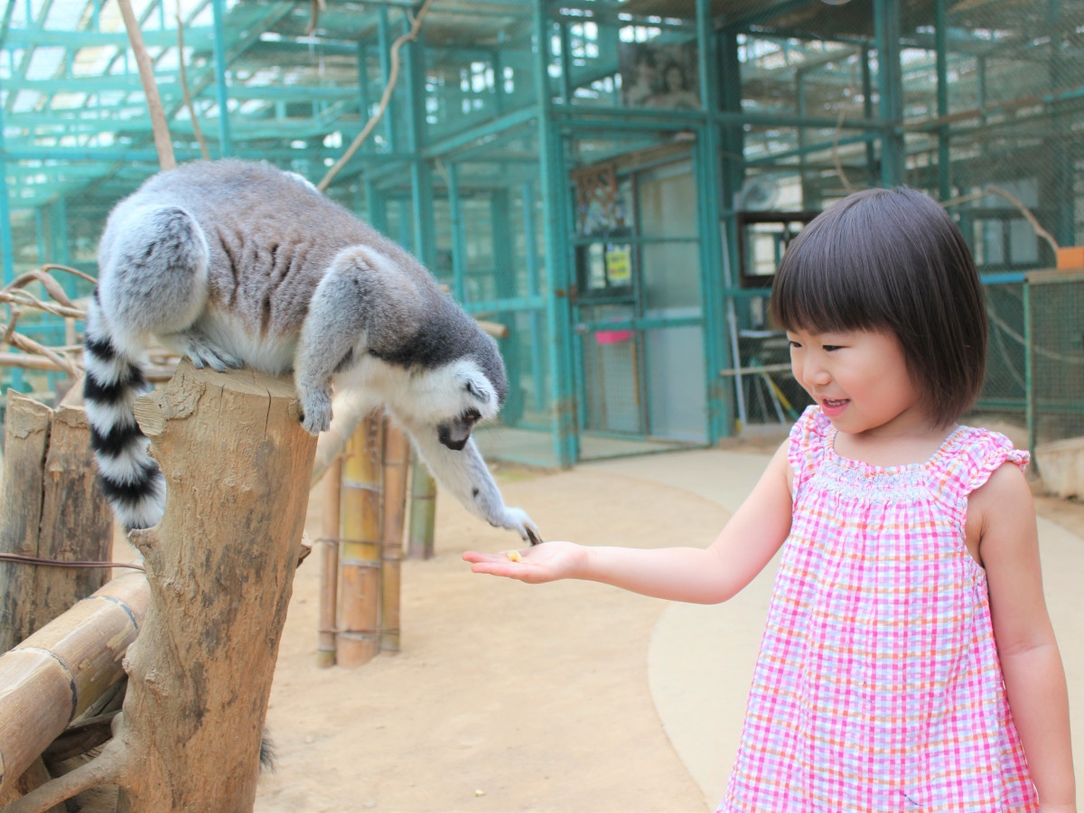 東北サファリパーク入園券付き！1泊2食付創作和食膳＋ハーフバイキングプラン