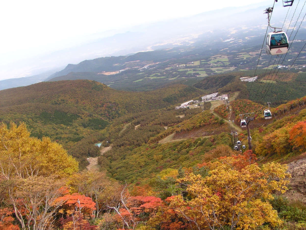 【コスパ＆秋旅応援】絶景紅葉を満喫♪1泊2食付創作和食膳＋ハーフバイキングプラン