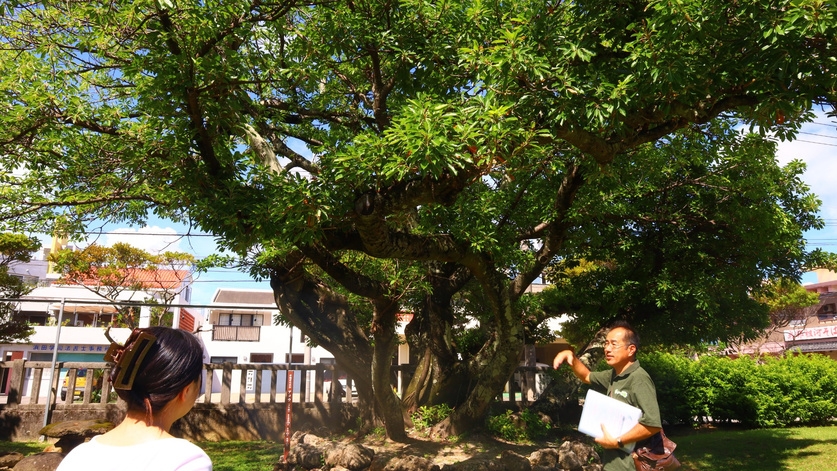 【祈り×歴史×ディープ旅】マスターヒデが誘う土着の霊石めぐり〜ちょっと不思議なまち歩き