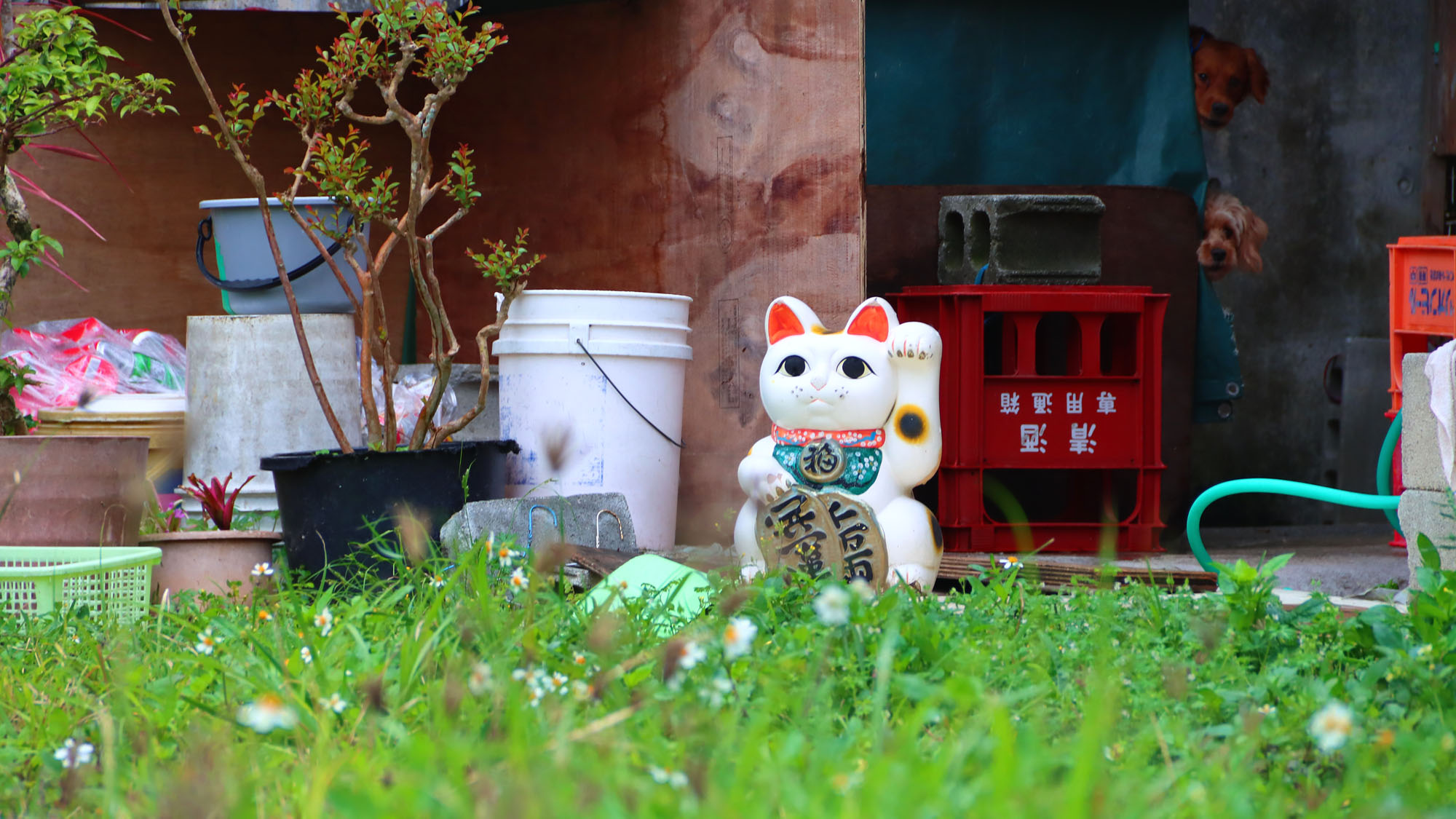 施設：イメージ