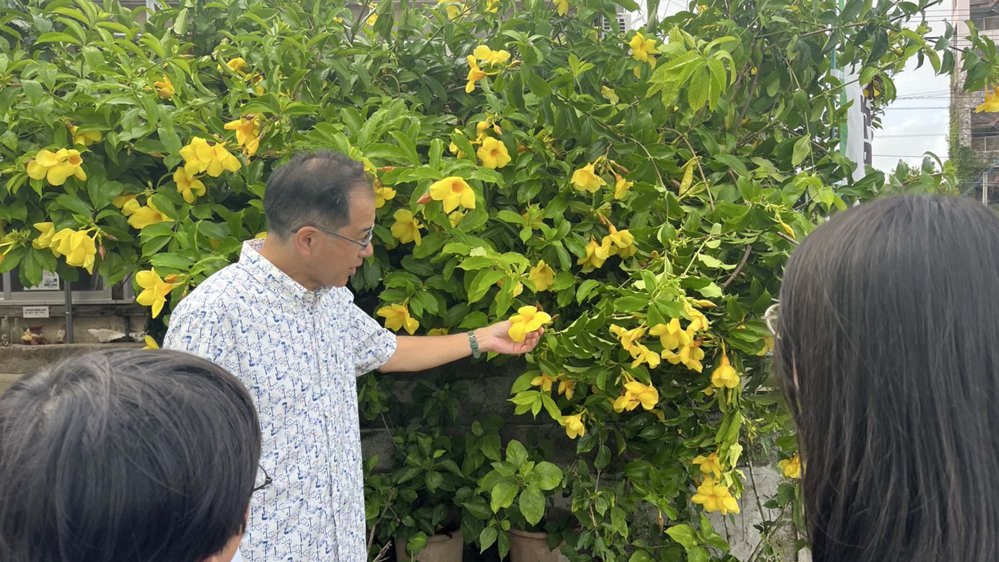 沖縄の草花について説明中。