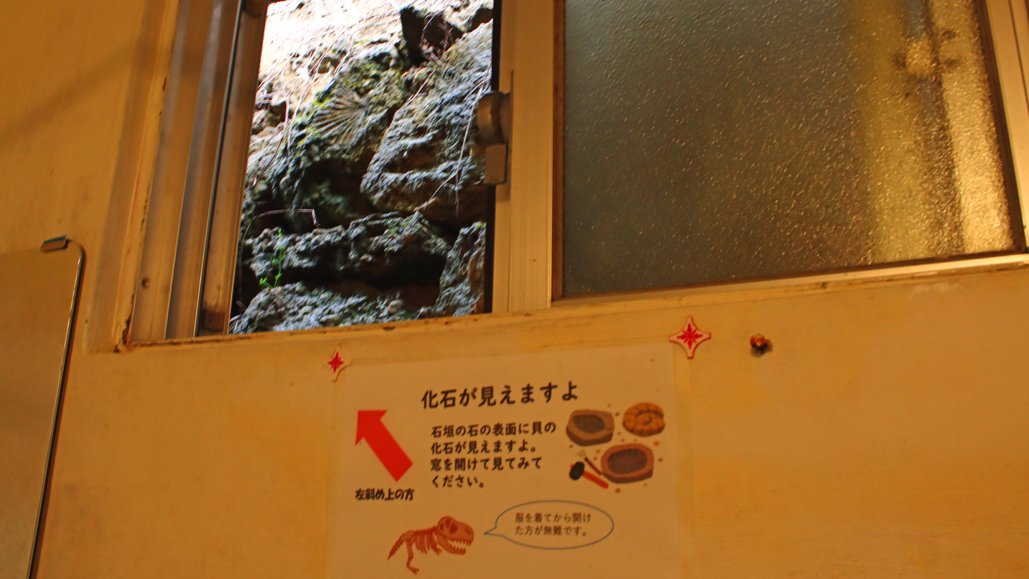 シャワールーム：窓から化石が見えます！