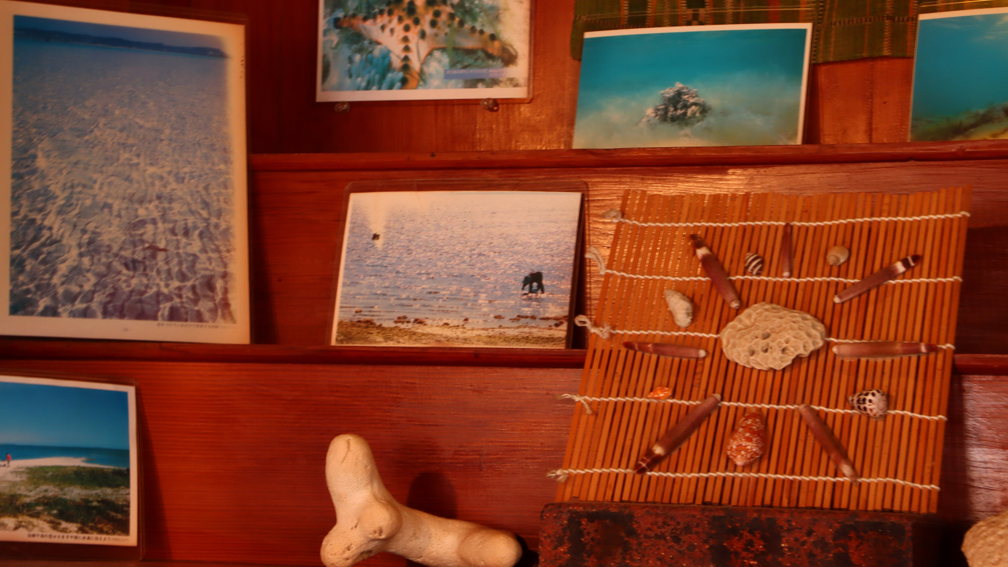 施設：イメージ