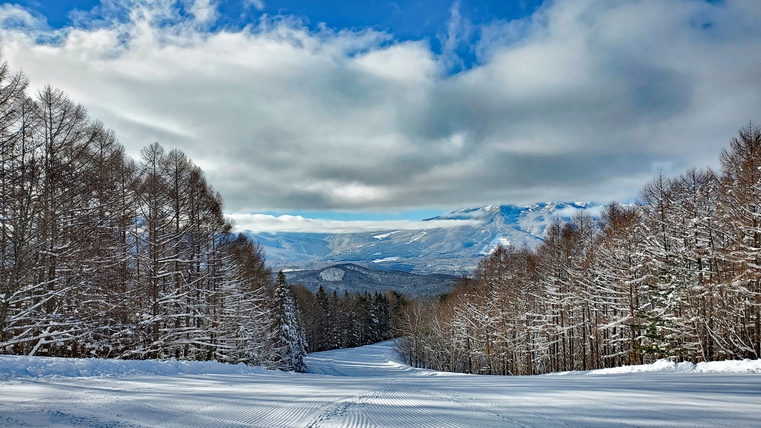 ≪朝食/夕食付≫寿司懐石とスキー旅！少食のお子様向けファミリープラン！！※割引リフト券ご用意※