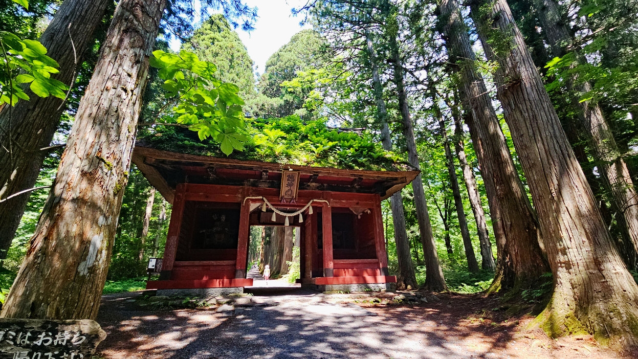 【直前割】朝食・夕食付 / エコプラン：急な旅行計画はこちらのプラン！