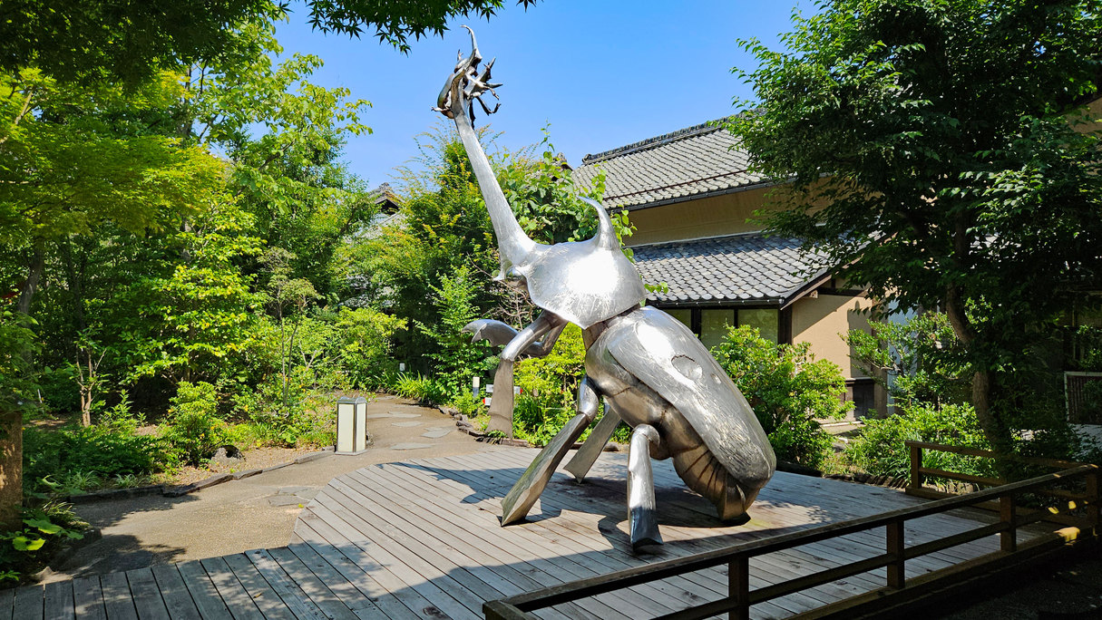 ≪夕食付≫四季を彩る寿司懐石と自然満喫旅