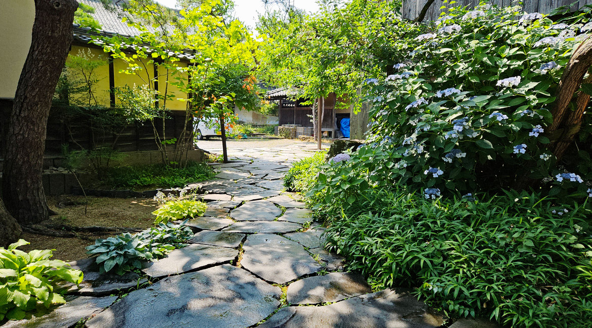 ≪2食付≫寿司懐石と日本酒利き酒プラン