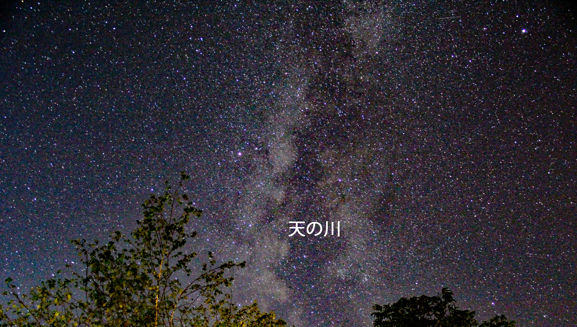 “一歩”庭から星空　天の川