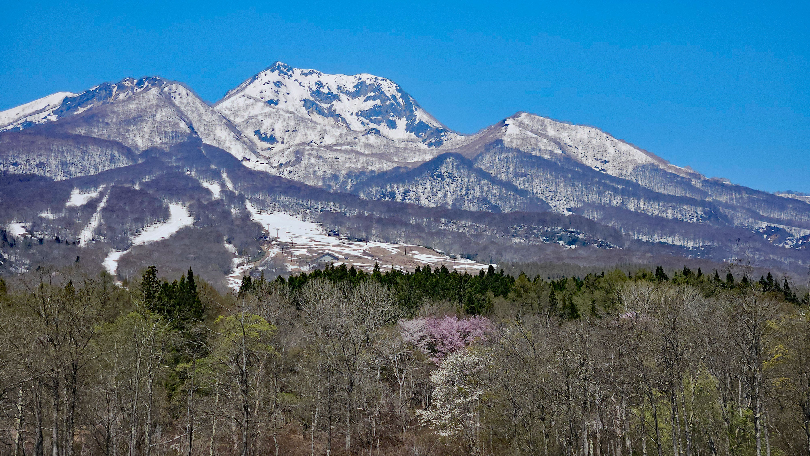 20250426　いもり池から眺めた妙高山　4月下旬
