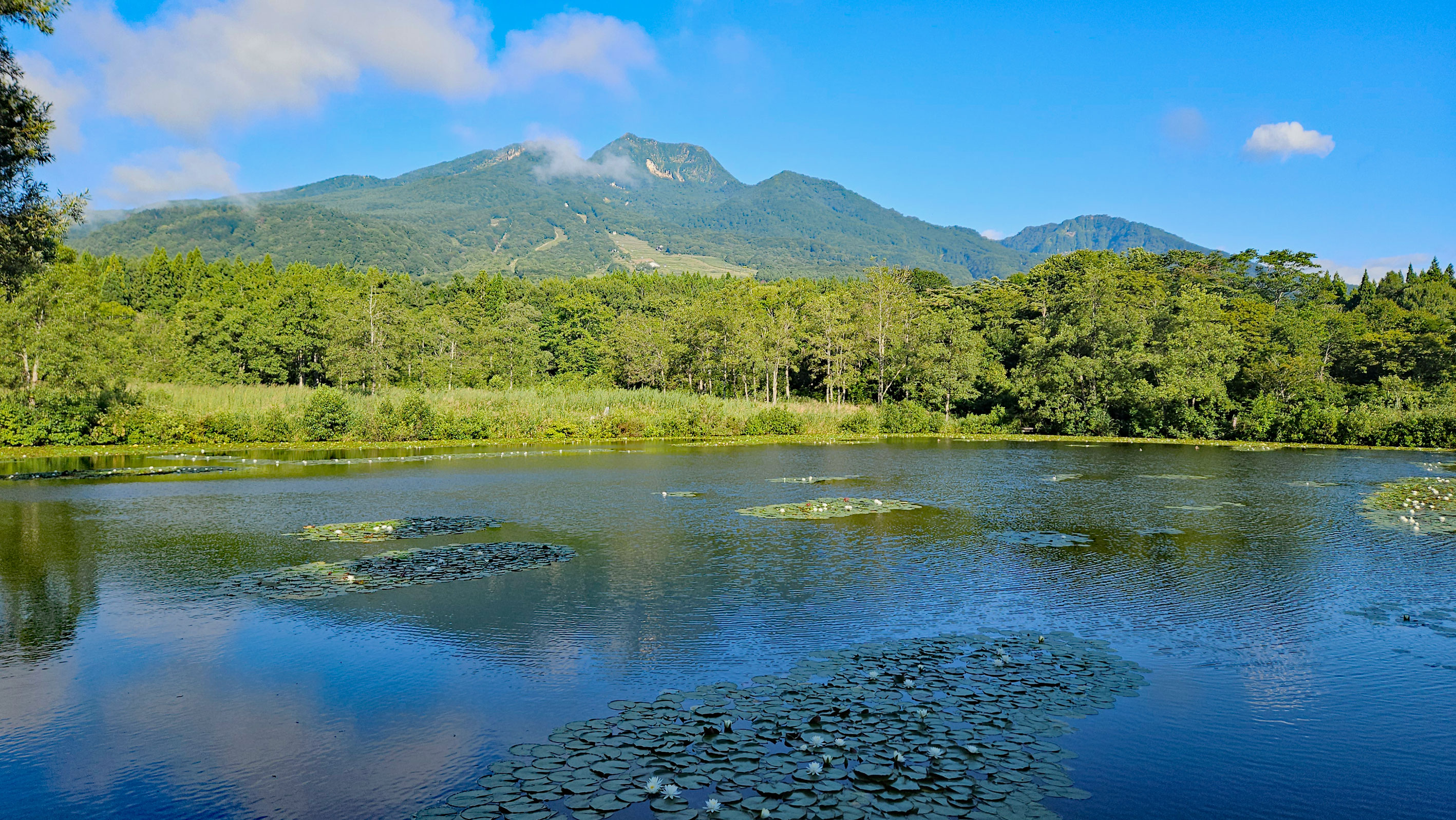 20250907_いもり池と妙高山
