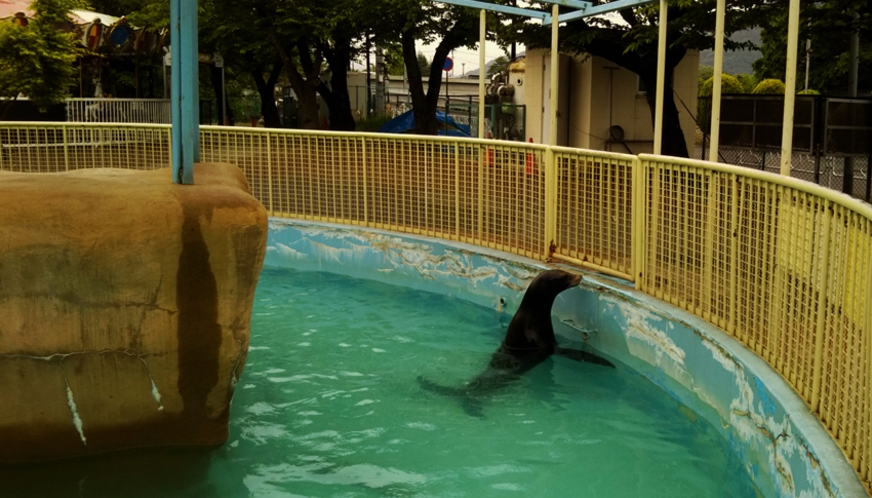 車で50分　城山動物園　園内マップ