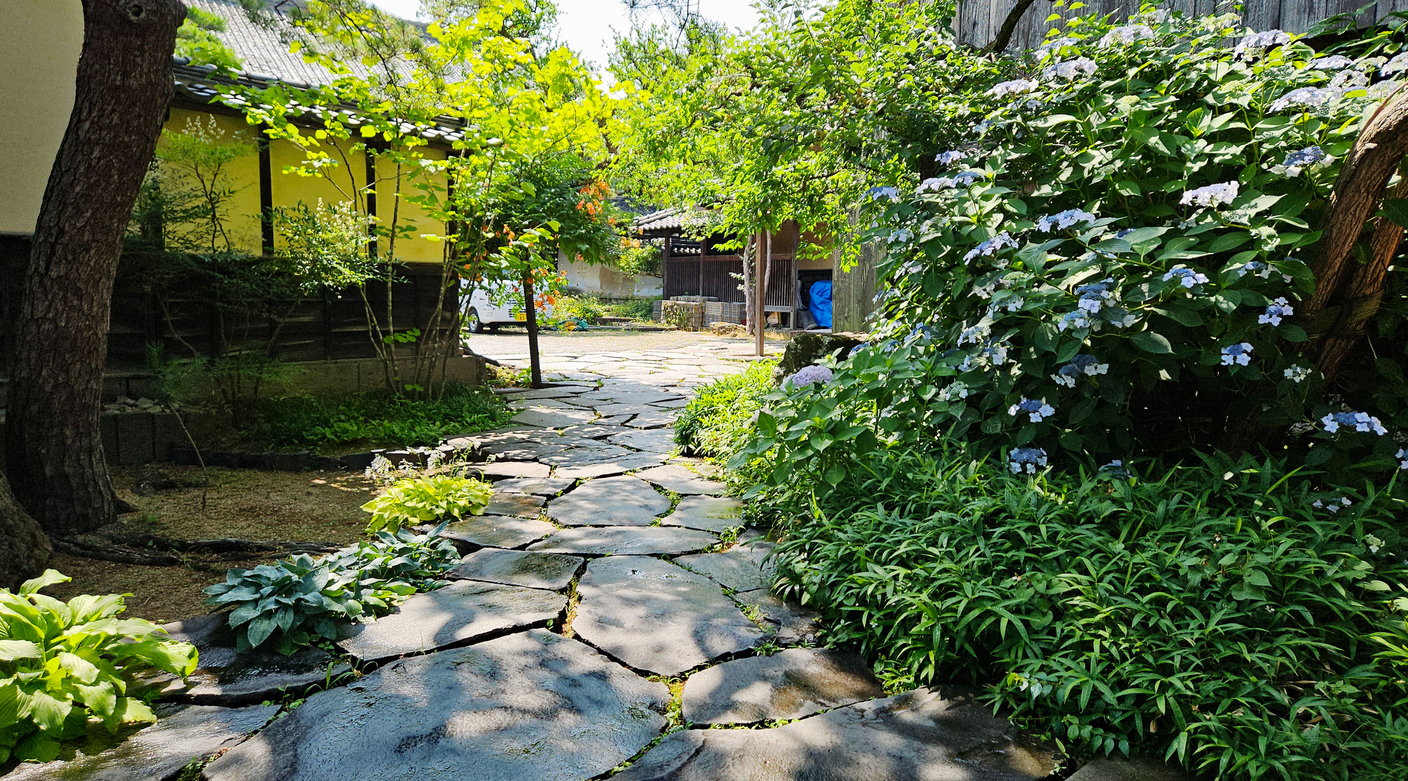 20250703_小布施町1