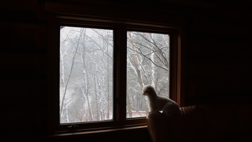 ダイニング窓より眺める雪景色