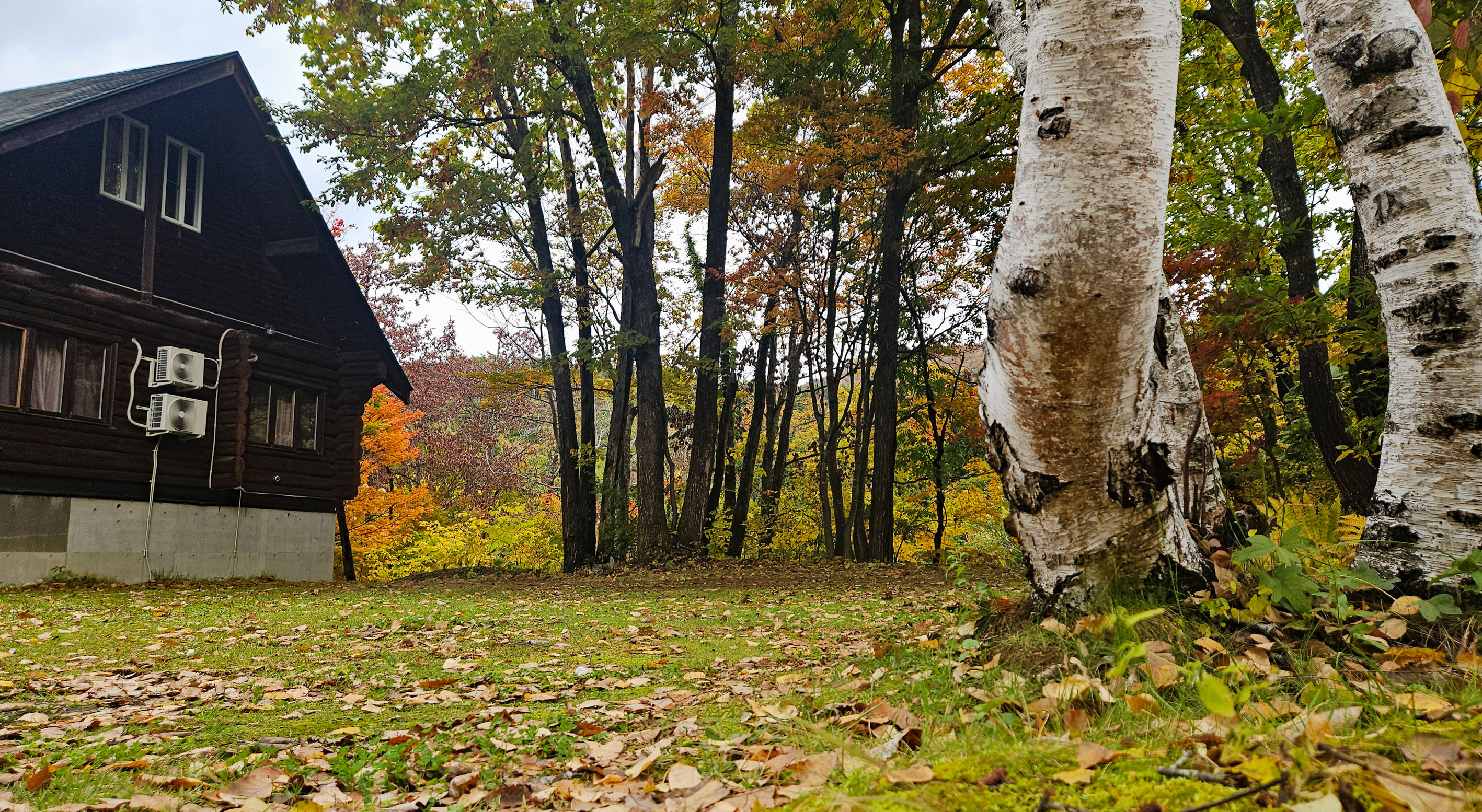 20251101_&ldquo;一歩&rdquo;庭の紅葉