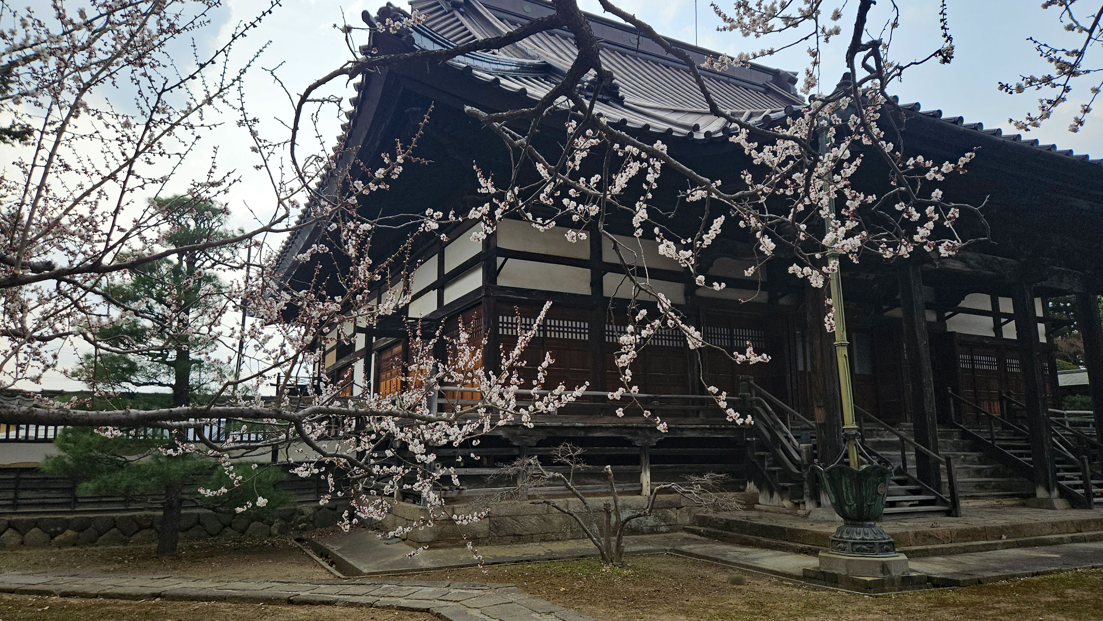 20260330_小布施【龍雲寺】桜