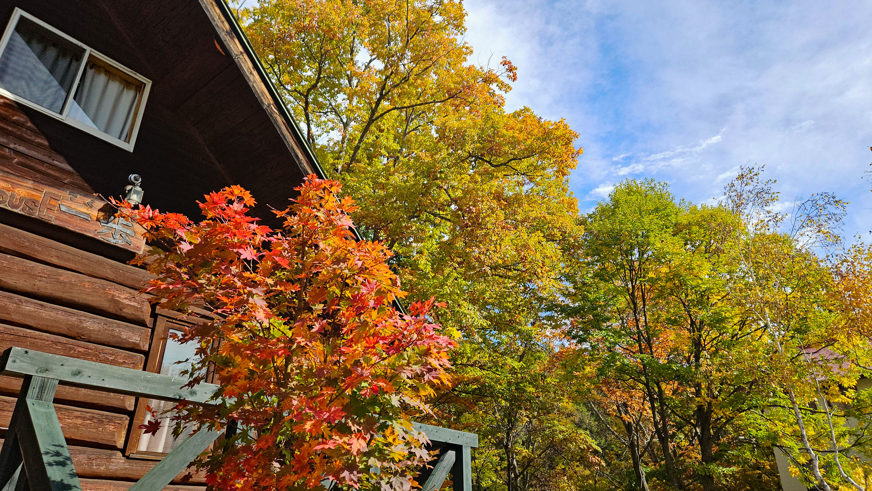 20251101_&ldquo;一歩&rdquo;庭の紅葉2